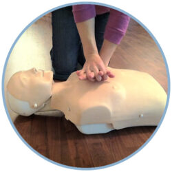 Adult + Pediatric CPR AED