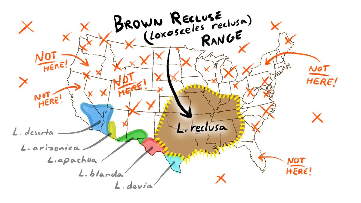 Brown Recluse Range Map