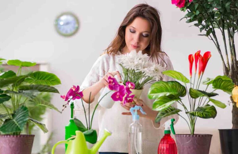 Modern & Stylish Only 10 img 01 1